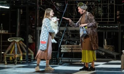 hegedűs a háztetőn vörösmarty színház