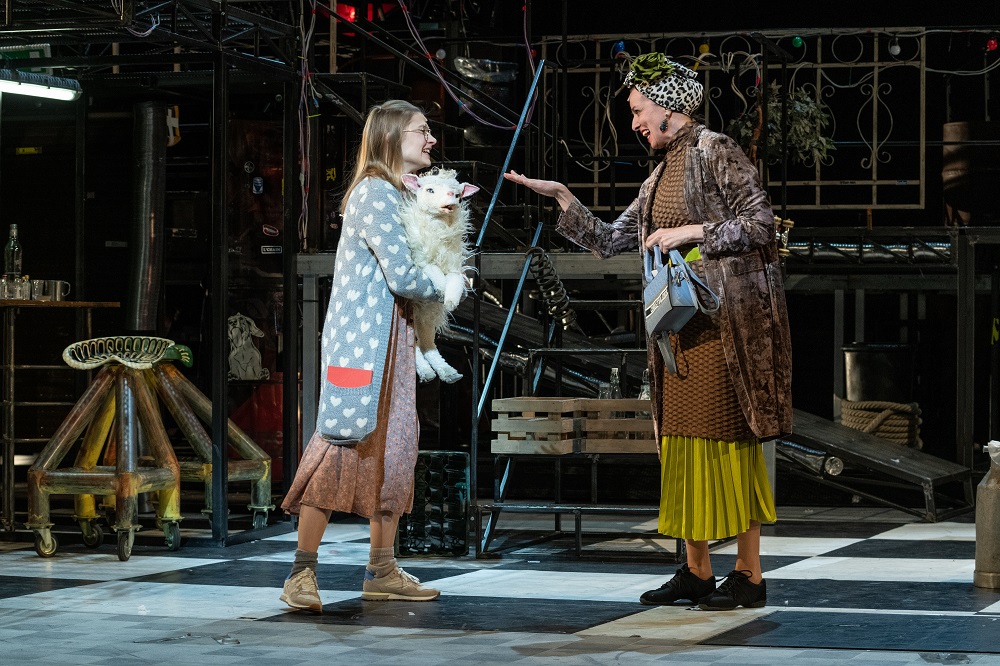 hegedűs a háztetőn vörösmarty színház