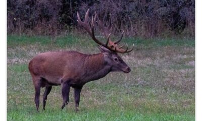 vadvilág világnapja 2025
