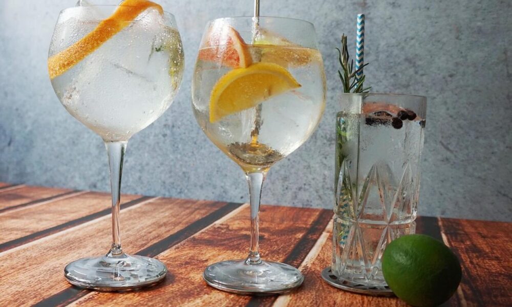 gin-tonic története