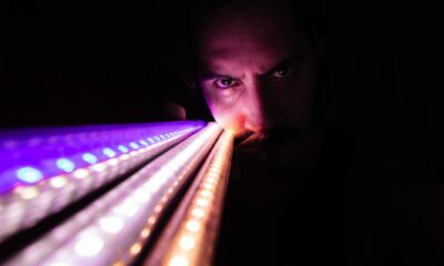 beltéri LED szalagok